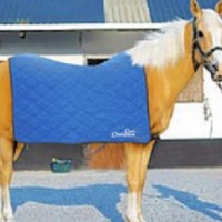 Arctic Horse Cooling Blanket